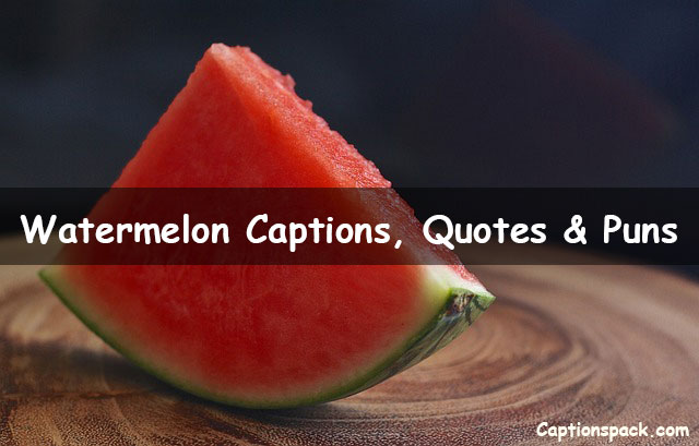 Watermelon Instagram Captions