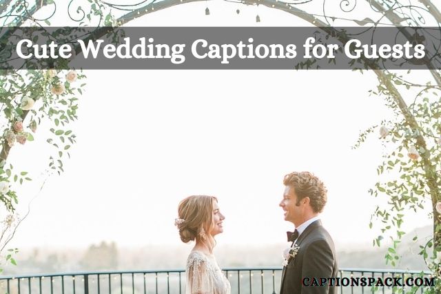 Cute Wedding Captions for Guests