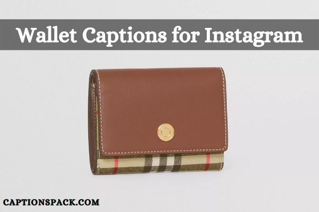 Wallet Captions For Instagram