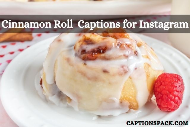 Cinnamon Roll Captions for Instagram