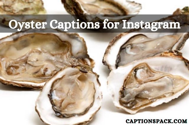 oyster captions for instagram