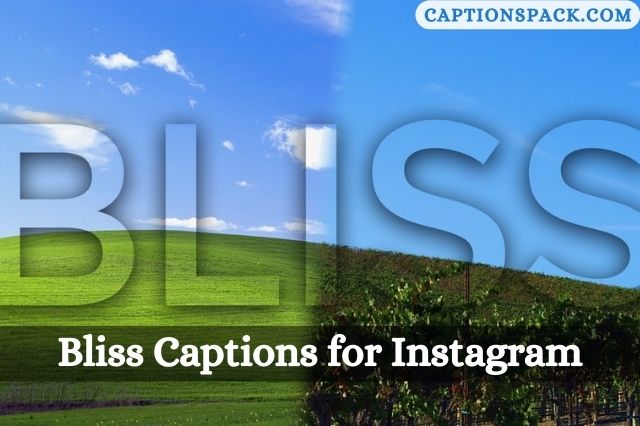 Bliss Captions for Instagram