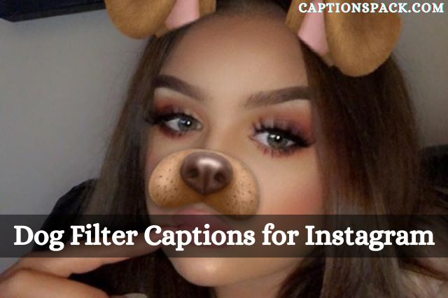 Dog Filter Captions for Instagram