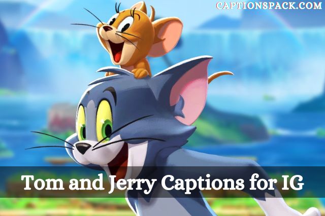 Tom And Jerry Captions for Instagram