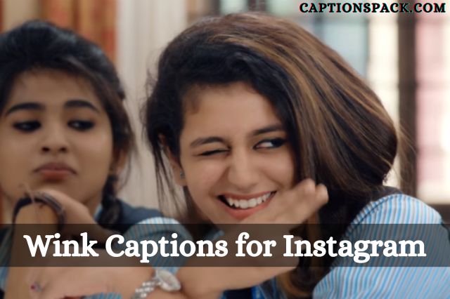 wink captions for instagram