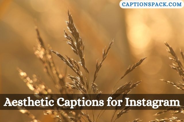 Aesthetic Captions for Instagram