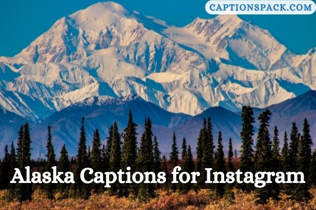 Alaska Captions for Instagram