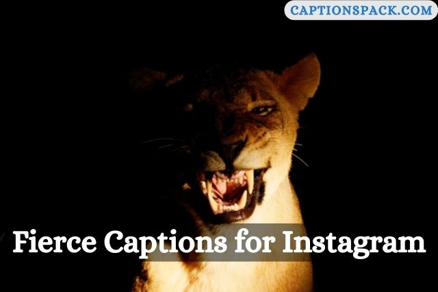 Fierce Captions for Instagram