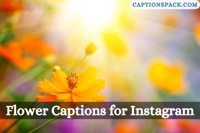 One Word Flower Captions for Instagram