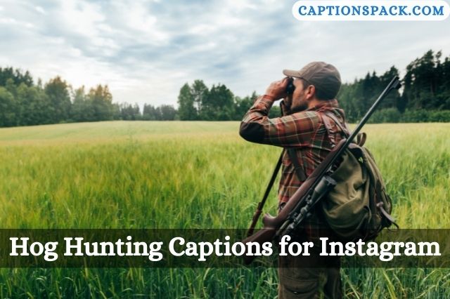 Hog Hunting Captions for Instagram