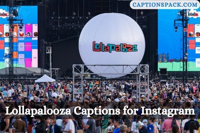 Lollapalooza Captions for Instagram
