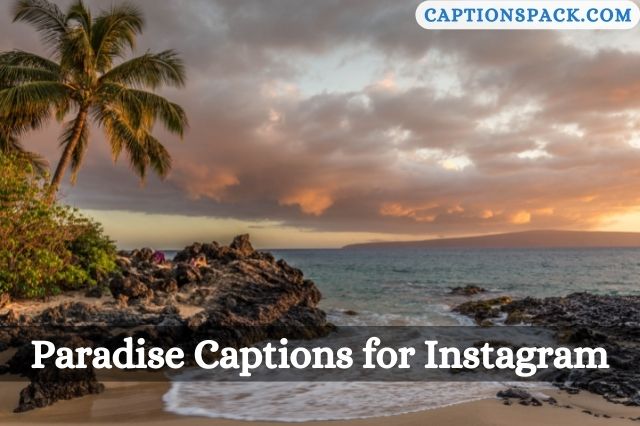 Paradise Captions for Instagram