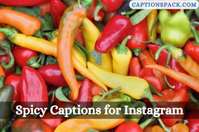 Spicy Captions for Instagram