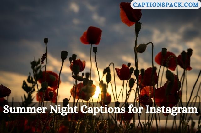 Summer Night Captions for Instagram