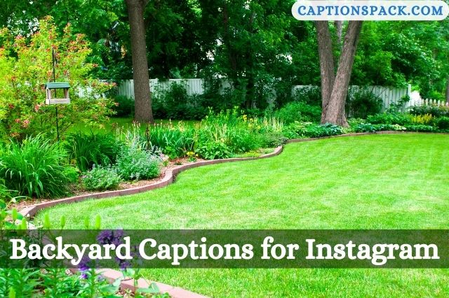 Backyard Captions for Instagram