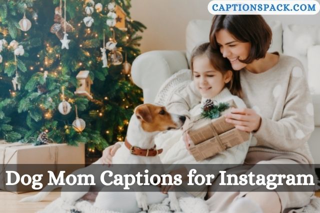 Dog Mom Captions for Instagram