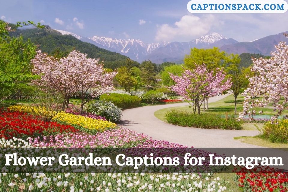 Flower Garden Captions for Instagram