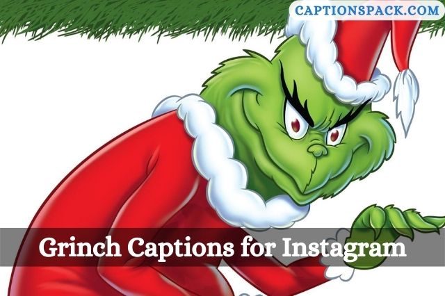 Grinch Captions for Instagram