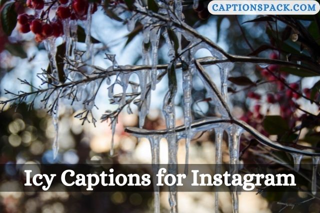 Icy Captions for Instagram