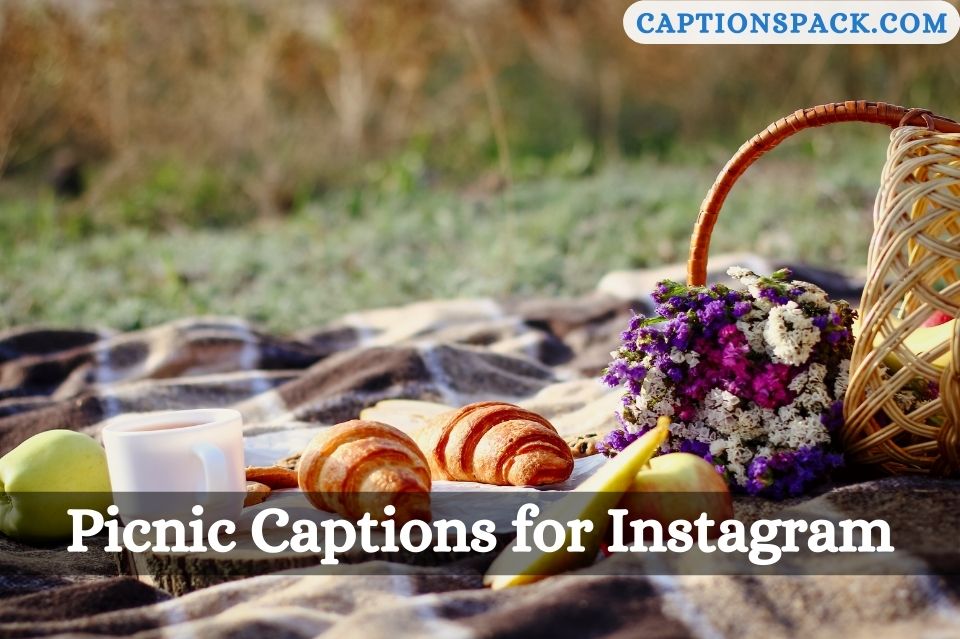 Picnic Captions for Instagram