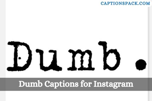 Dumb Captions for Instagram