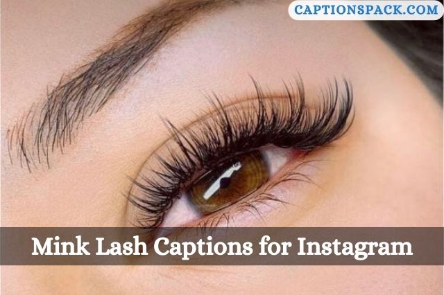 Mink Lash Captions for Instagram