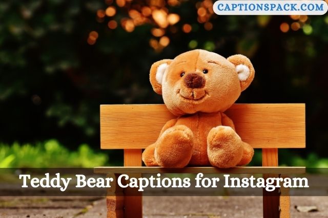 Teddy Bear Captions for Instagram