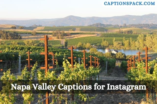 Napa Valley Captions for Instagram