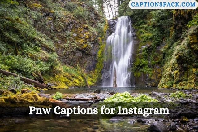 Pnw Captions for Instagram